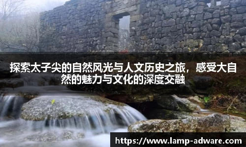 一竞技新版本
